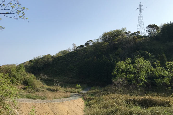 道路改良工事の現地確認