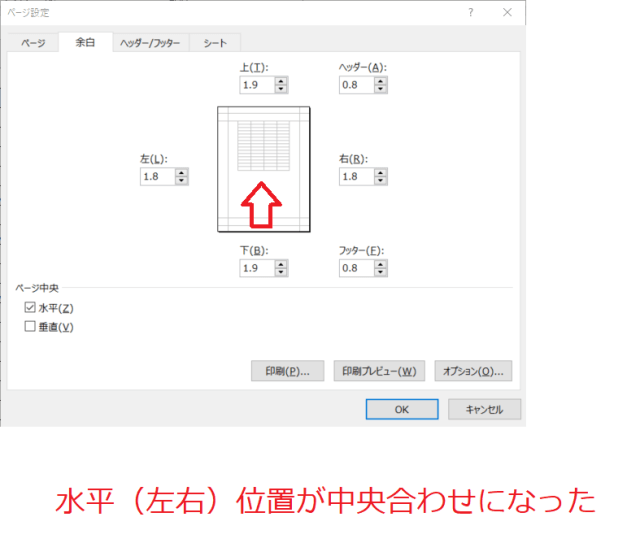 Excel 表示・印刷についての留意点